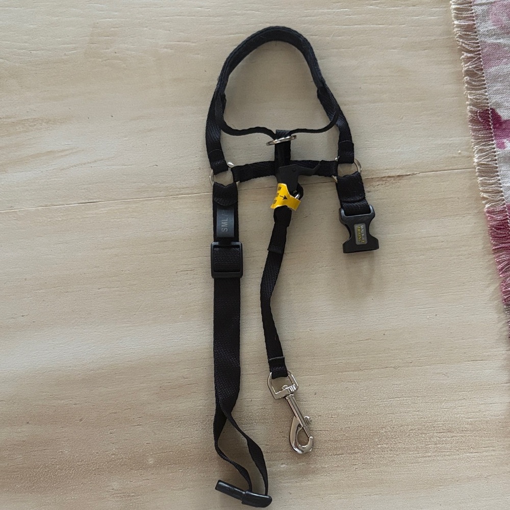 Black Dog Harness with Yellow Detail